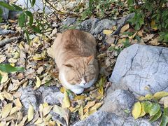 -云龙山