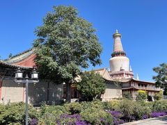 -张掖大佛寺景区