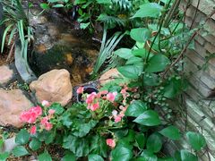 -The Flowers Coffee(南山店)