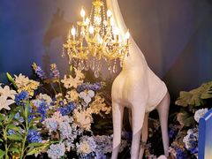 -狮拾久·现代新加坡料理(福田COCO Park店)