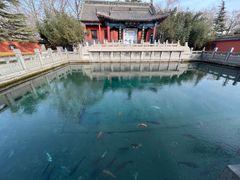 -百脉泉景区