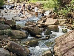 -广州白江湖森林公园