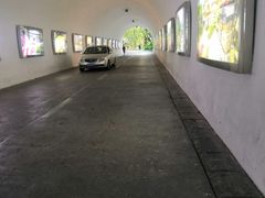 -深圳国际园林花卉博览园