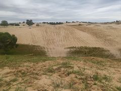 -塞罕坝国家级自然保护区