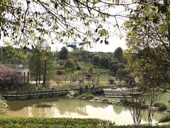 -铁山坪森林公园