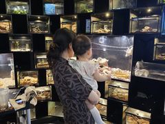 -太平洋海底世界