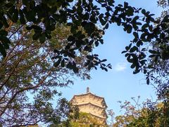 -深圳国际园林花卉博览园