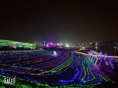-大塘金香草谷