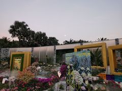 -莲花山公园