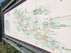 -大唐贡茶院
