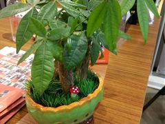 -快快(浦东新区年家浜路)