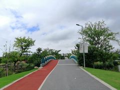 -上海长兴岛郊野公园