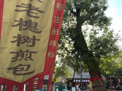 -老槐树煎包