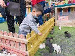 -萌宠亲子动物乐园(槐房万达店)