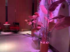 -纯K(打浦桥店)