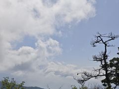 -王顺山国家森林公园