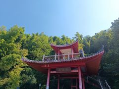 -长沙黑麋峰国家森林公园