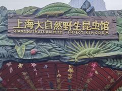 -上海大自然野生昆虫馆(东方明珠·爬宠昆虫探索中心)