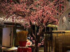 -金轩中餐厅 Jin Xuan(浦东丽思卡尔顿酒店)