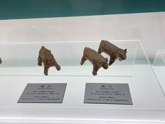 -衢州市博物馆