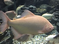 -多彩贵州城极地海洋世界