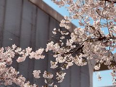 -龙美术馆(西岸馆)