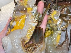 -喜聚薈·花膠雞海鮮火鍋(越秀店)