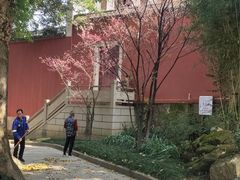 -乌山风景区