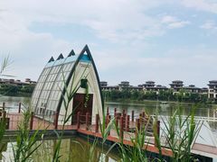 -美的鹭湖森林度假区