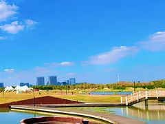 -春花秋色城市公园