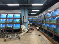 水产区-渔人湾码头海鲜市场负二楼
