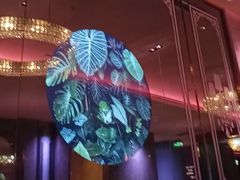 -纯K(打浦桥店)