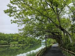 -西溪南古村落