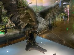 -陕西自然博物馆