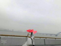点击看大图 -青禾婚纱摄影(杭州店)