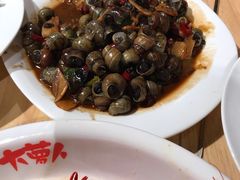 -大萝卜烧烤羊蝎子烤全羊(新城河路店)