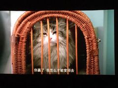 -AMG海上明珠影城(上海环球港RealDCinema店)