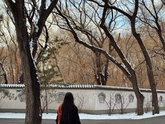 -北陵公园