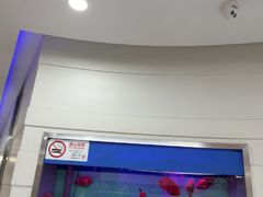 -雅悦齿科(顾村公园店)