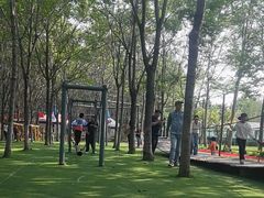-草根堂农场