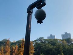 -重庆彩云湖湿地公园