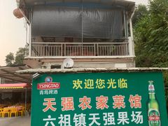 -天强农家菜馆