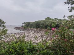 -吴淞炮台湾湿地森林公园烧烤区