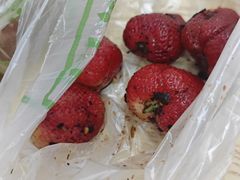 -雪儿钱局泡菜
