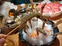 -尚海豆捞(乐虹坊店)