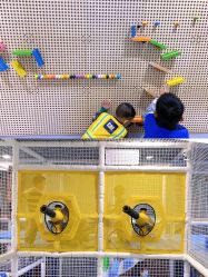 -MELAND(大融城店)