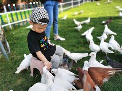 -南通洲际绿博园