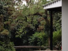 -广州兰圃