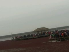 -红海滩国家风景廊道