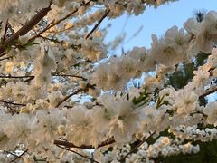 -万柳阁小馆·花园餐厅(龙潭湖店)